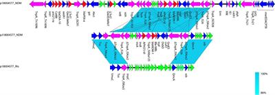 Conjugation of plasmid harboring blaNDM-1 in a clinical Providencia rettgeri strain through the formation of a fusion plasmid